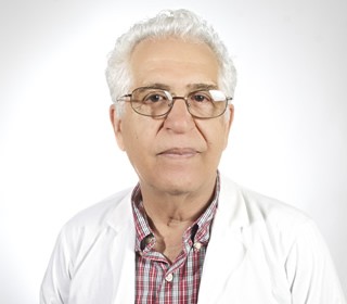 Dr. Ángel Salvador Berges Gil