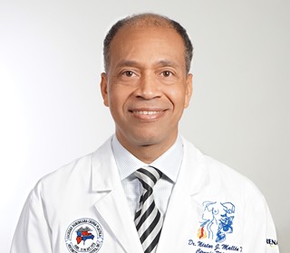 Dr. Nestor Julio Mallén Tejeda